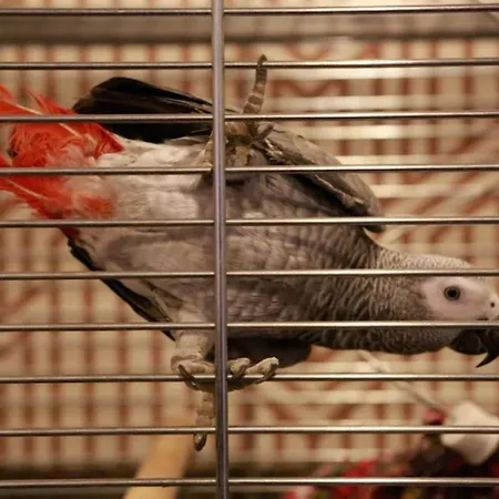 Metropolitan Old Town - Czech Leading 4* Prag