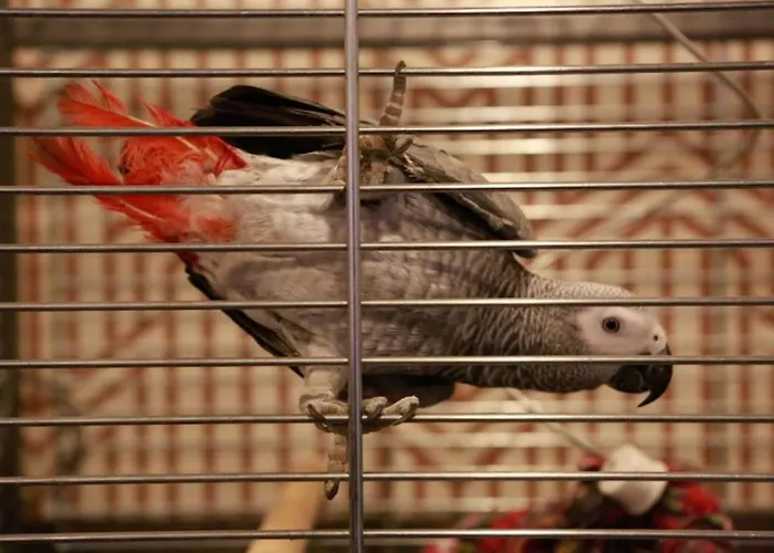 Metropolitan Old Town - Czech Leading 4* Prag